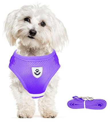 meioro Hundegeschirr mit Leine-Reflektierend Weich Gepolstert Hunde Geschirr-Atmungsaktiv Verstellbare Brustgeschirr für Kleine Mittelgroße Welpen Katzen-Schwarz Weste (Lila, M-Brust:35-40cm)