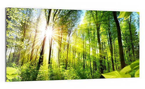 DEQORI Glasbild Echtglas | Motiv Licht durchdringt Bäume | horizontal einteilig 100x50 cm | schöne Dekoration | Wandbild für Wohnzimmer, Schlafzimmer, Flur & Küche | moderne Wanddeko
