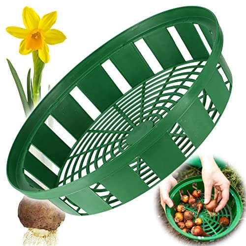 KADAX Pflanzkorb für Blumenzwiebeln, Anzuchtskorb aus Kunststoff, Anzuchtsschale für Gemüsepflanzen, Blumenzwie-belkorb in 2 Formen für Frühjahrsblüher (30cm rund, 1 Stück)