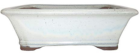 Brussel's Bonsai 8 Rectangle Glazed Ceramic Bonsai Pot - Medium, New Cream, Great for Outdoor and Indoor Bonsai Trees