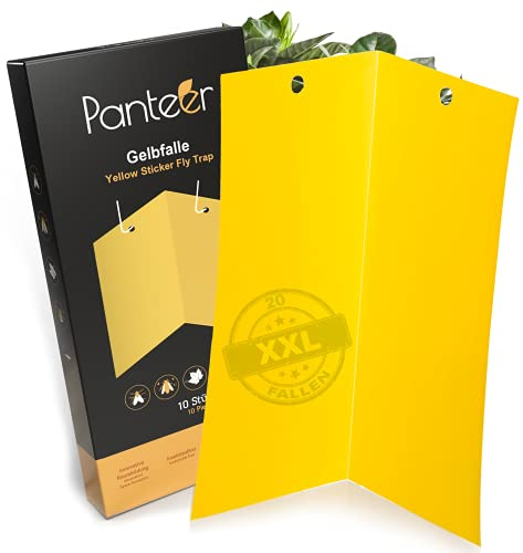 Panteer ® Gelbsticker Gelbfalle – 20 XXL Einzelfallen – Erhöhte Fangquote durch Zwei angewinkelte Gelbtafeln – Trauermücken bekämpfen