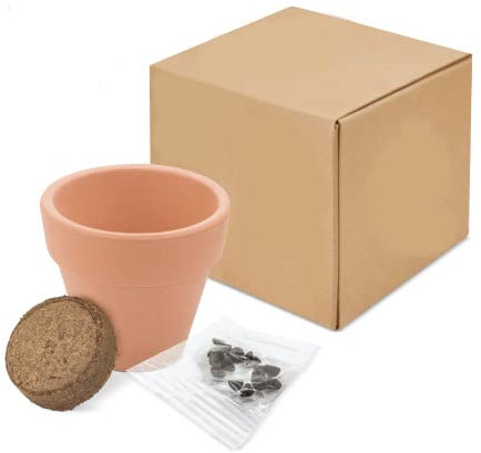 DISOK - Lote 15 a 60 Macetas Terracota Semillas en Caja. Detalles de plantas para bodas, regalos de macetas con plantas en boda, bautizos y comuniones. (15)