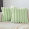 Soleebee 2er Set Plüsch Samt Kissenbezüge, Weiche Künstliche Pelz Kissenbezug Sofa Zierkissenbezüge Dekokissen Kissenhülle Set für Schlafzimmer Zuhause Couch Auto Dekor (60x60cm, Hellgrün)