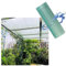 KOOEIN Polycarbonat-Platte Kunststoff-Dachplatten,Gewächshaus Ersatzplatten,0,8mm Transparent Platten Wärmedämmung,Uv-Beständige Glasfaser-Massivplatten für Garten im Freien Balkon,W×L-0.8x2m