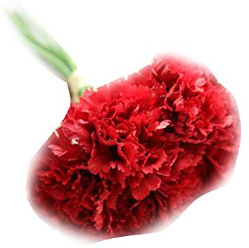 ECOSWAY Künstliche Blumen Pfingstrose, Seide, Hortensien, Blumenstrauß Deko, Stoff, Nelken, realistische Blume rot