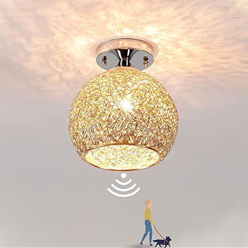 Deckenleuchte mit Bewegungsmelder Glühbirne LED Deckenlampe 12W Flur Sensorlampe Deckenbeleuchtung Modern Innen Vintage Metall Draht Käfig Lampenschirm 3000K für Treppe Balkon Wohnzimmer Küche Garage