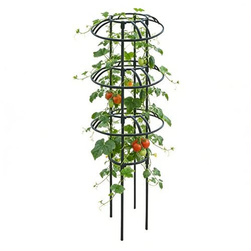 Xmccvt Gartenrankgitter - Rostfrei - Obelisk-Spalier für Weinreben | Rankhilfe als Obelisk für Clematis, & Kletterpflanzen – Für drinnen, draußen, Gewächshaus & Kübel