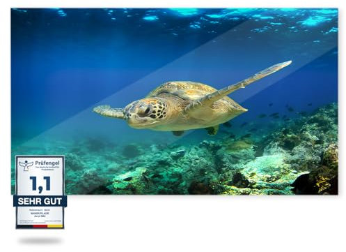 IH Engineering BV WANDURLAUB - Dein Bild auf Acryl - Basic Edition XXL - 60x50 cm Acrylglas - Brillanter Druck auf rahmenlosem Acryl inkl. Wandhalterung - Ultra HD Druck (13. Schildkröte unterwasser)