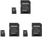 Carte Philips Micro SDHC 8 Go Classe 10 INCL. Adaptateur UHS-I U1 (Lot de 3)