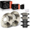 Frankberg 2x Bremsscheiben 4x Bremsbeläge mit Bremsenschmiermittel Hinten Kompatibel mit A3 8V1 8VK 1.0L-2.0L 2012-2020 Golf VI Cabriolet 517 1.2L 2013-2016 Replace# 5Q0615601D
