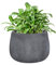 Fibre Clay Plant Pots 29cm Indoor/Outdoor Modern Rippled Finish Flower Pot Planters Patio Decking Lawn Doorstep Porch Houseplant Shrub Topiary Bush Plant Pot Clay Planters (Grey, Small 8.5L)