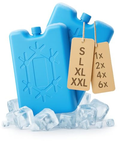 PILIX Kühlakkus für Kühltasche | 16x11x1,4cm | Kühlakku Flach | 4 Kühlpads für Kühltasche | Kühlplatten für Buffet | Flache Kühlakkus für Kühlbox Lebensmittelecht