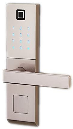 MDRBB Türgriff Türbeschlag Türhebel mit Fingerabdruck Unlocking Home Smart Electronic Lock Türgriff for Schlafzimmer Studienzimmer Büro Villa Türgriffe Innentüren (Color : Amber Silver)