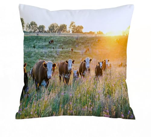 AELKSP Kissenbezug Kissenhülle Haus Dekorativ Für Jungen/Mädchen Wohnzimmer Schlafzimmer Sofa Stuhl Kissenbezüge,Vieh Kuh Nebraska Hereford Rinder Sonnenuntergang Natur Landschaft Parks Baue,40x40 cm