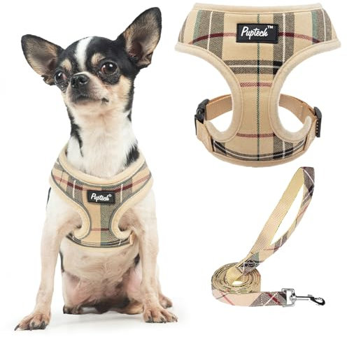 PUPTECK Dog Harness Small Dog Soft Mesh Pet Puppy Cat Comfort Padded Vest No Pull Harnesses and Lead Set