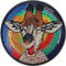 GIRAFFE im Regenbogen Aufnäher Lachende Giraffen Geschenk gestickter lustiger Aufbügler Comic Sticker Kinder Aufkleber Bügelbild Applikation zum annähen/aufbügeln 80x80mm