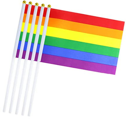 apofly Regenbogen Stick Flagge kleine Hand gehaltene Flagge LGBT Flaggen Mini Gay Lesbian Pride Festival Flaggen Banner 10 STÜCKE