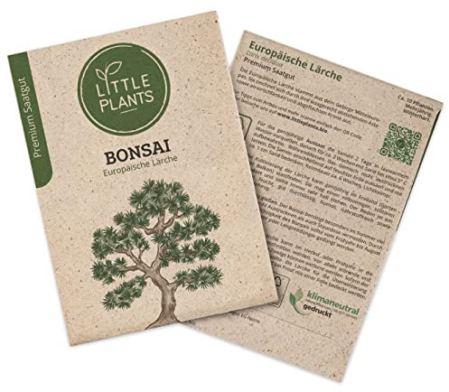 Bonsai Samen Lärche, 10 Bonsaisamen, hohe Keimrate von Little Plants, Wunderschöner Bonsai zur eigenen Anzucht, Nachhaltig Verpackt