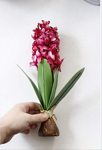 XFLOWR 2 stücke künstliche Blume hyazinthe mit lampen seidenblume für Hochzeit Garten Home tischdekoration DIY Bonsai gefälschte Blume rot