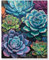 FURONGHUAK Peinture par Numéros pour Adulte, DIY Peinture Acrylique pour Adultes Enfants débutants Facile sur Toile 40×50 cm avec peintures et pinceaux sans Cadre-Succulentes