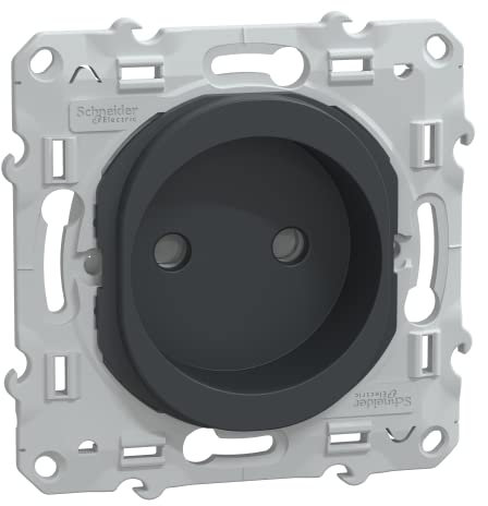 Schneider Electric - Ovalis - prise de courant à puits 2P 16A - bornes vis - Anthracite - S340033