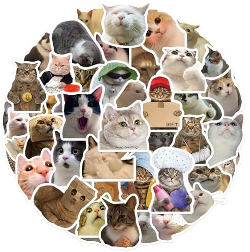 Lustige Katze Aufkleber 50 Stück, Funny Meme Cat Sticker Set für Laptop Wasserflasche Koffer Gepäck Skateboard Helm Handyhülle Tagebuch, Vinyl Graffiti Stickers für Erwachsene Jugendliche