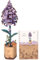 ROBOTIME Fleurs Artificielles Deco, Puzzle 3D Bois, Maquette en Bois a Construire, Construction Adulte, Cadeaux Anniversaire Femmes pour la Saint-Valentin & Décoration d'intérieur, TW021