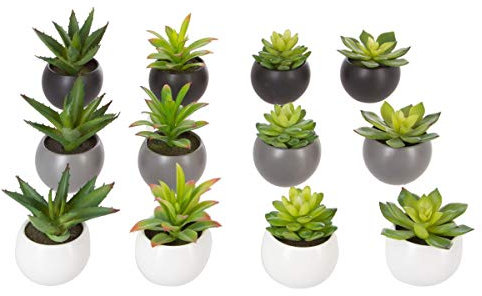 Atmosphera - Plante grasse en Pot H13 - Modèle d/Gris