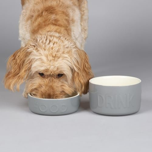 Scruffs Classic 2 Piece Dog Food & Water Bowl Set - 15cm each - Grey