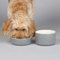 Scruffs Classic 2 Piece Dog Food & Water Bowl Set - 15cm each - Grey