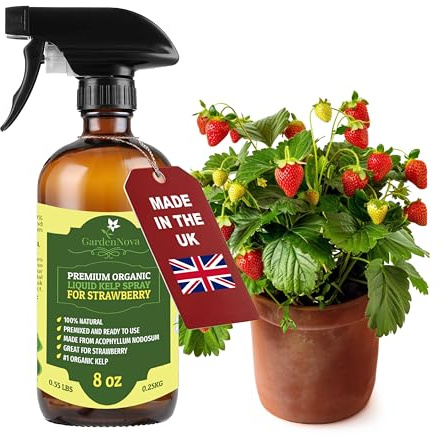 GARDENNOVA Professional Organic Liquid Kelp Spray for Strawberry Plants - 8 oz - Ready-to-Use Fully Organic Seaweed & Kelp Fertilizer Mist