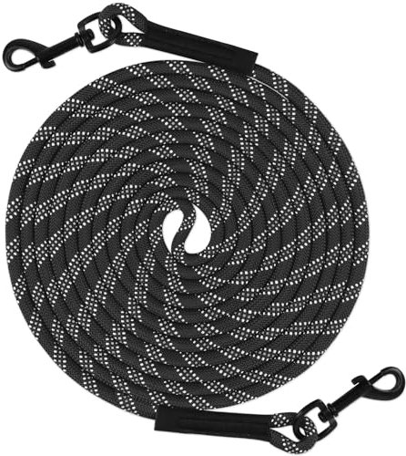 Taglory Schleppleine 10m für Hunde | Reflektierendes Seil | Doppelter Haken | 8mm Schwarz