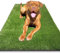 Gazon Synthétique d'éducation pour Chien, de 1M x 60CM, Tapis toilette chien, Chiots et Animaux Domestiques