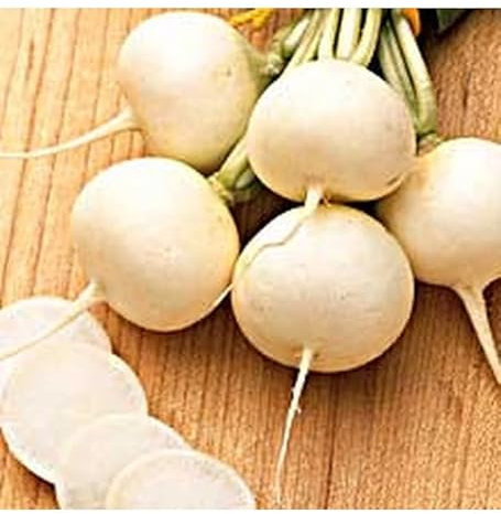 Sachet de graines de Radis ronde witte (rond blanc) - 10 g - LES GRAINES BOCQUET