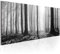 decomonkey Bilder Wald 120x40 cm XXL 1 Teilig Leinwandbilder Bild auf Leinwand Vlies Wandbild Kunstdruck Wanddeko Wand Wohnzimmer Wanddekoration Deko Natur Landschaft schwarz weiß