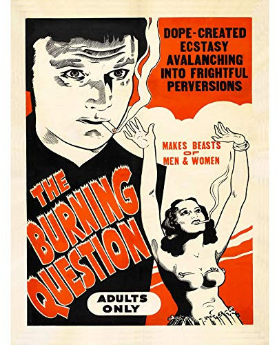 Filmposter Burning Question Drogen, groß, Kunstdruck auf Leinwand, Premium-Poster