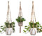 3 piezas Macramé, colgante colgante para interior, macetero colgante para plantas, con cuerda de algodón, para interiores y exteriores, decoración de pared, 88/90/92 cm