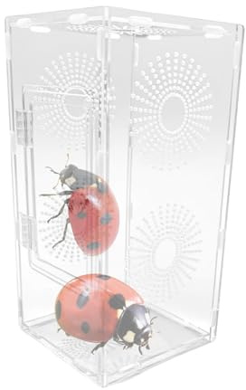 Rechory Springende Spinne Terrarium – transparentes Acryl, kleines Reptiliengehege, atmungsaktiv, sicheres Mantisen, Fütterungszubehör für Erwachsene, Teenager, Familie, Mädchen