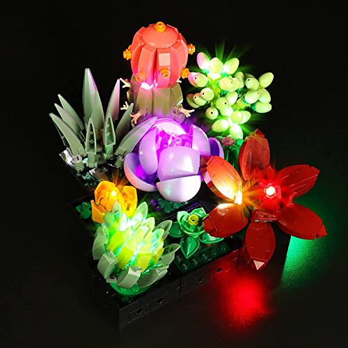 Led Licht Set für 10309 Icons Sukkulenten (Kein Modell) Dekorations Beleuchtungs Set für Sukkulenten Botanical Collection Set (Klassische Version)