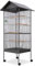 Cage à Oiseaux sur Pied, Volière à Oiseaux Intérieur Cage à Perroquet Cage à Oiseaux avec Toit Acier Noir 66 x 66 x 155 cm