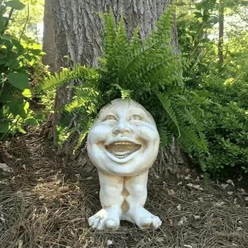 Tiuyii Pot en forme de visage et expression amusante pour les amateurs de plantes