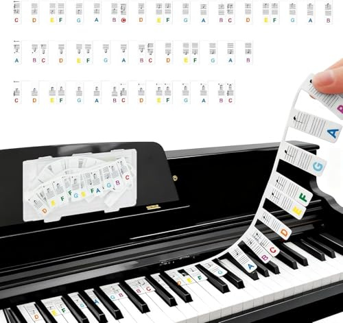 Rayakt Removable Piano Keyboard Note Labels, Reusable 88 Key Full Size Universal Piano Notes Guide, No Need Stickers, Piano Notes Overlay with Box, Silicone Music Label for Beginners (Colorful Text)