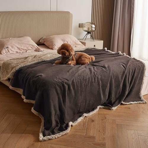 Pawsee Wasserdicht Hundedecke Katzendecken Waschbar, wasserdichte Decke für Große Hunde Sofaschutz Couch Überwurf, Flauschig Wasserdicht Liebesdecke für Schutzdecke Tagesdecke, L 203 x 152cm