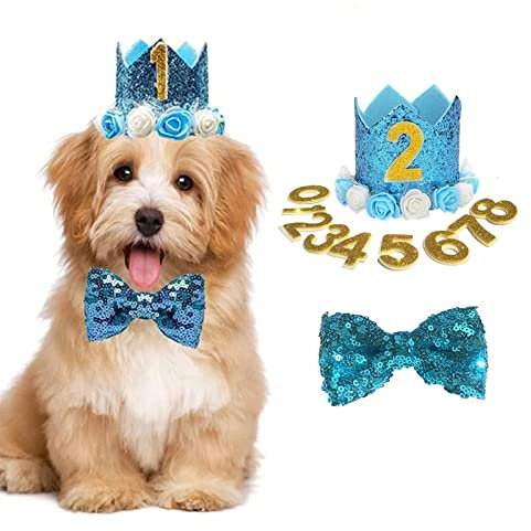 Geburtstagshut für Hunde, Katze, Hund, Geburtstagskrone, Hut und Fliege mit 0–9 Figuren, Charms, Partyzubehör für kleine, mittelgroße Welpen, Kätzchen, Blau (Blau)