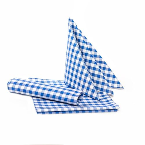 texpot Landhaus Servietten 60 x 60 cm - 6 Stück blau-weiß Kariert 5 mm Karo 100% Baumwolle