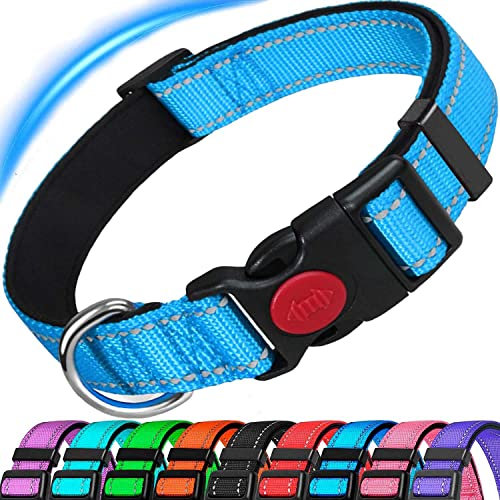 ATETEO Reflective Dog Collar with Safety Locking Buckle and Soft Neoprene Padded, Adjustable Durable Nylon Puppy Collars for Small Medium Dogs,Light Blue,S: 9-14.2 inch