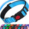 ATETEO Reflective Dog Collar with Safety Locking Buckle and Soft Neoprene Padded, Adjustable Durable Nylon Puppy Collars for Small Medium Dogs,Light Blue,S: 9-14.2 inch
