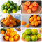 80 Pcs Kumquat Baum Samen, Winterfeste Pflanzen Für Balkon, Deko Obst (Citrus Japonica) Kälteschutz Für Pflanzen, Säulenobstbäume Winterharte Kübelpflanzen, Obstbäume Kaufen Steingartenpflanzen