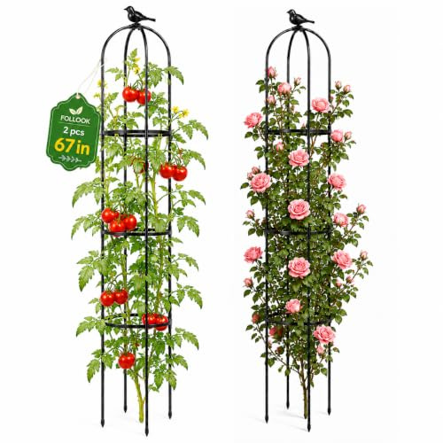 FOLLOOK Garden Obelisk Trellis for Climbing Plants Outdoor, Lightweight Climbing Plant Support Flower Roses Clematis Vegetable Light Vines Round Trellis for Raised Garden Bed Planter, Black, 2 Pack