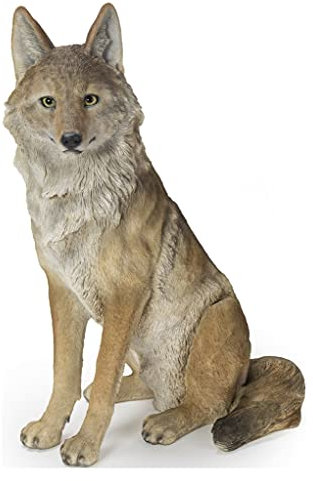 Hi-Line Gift Ltd. Sitzende Coyate-Statue